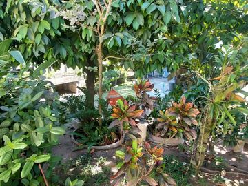 place photo 53