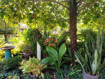 place photo 54