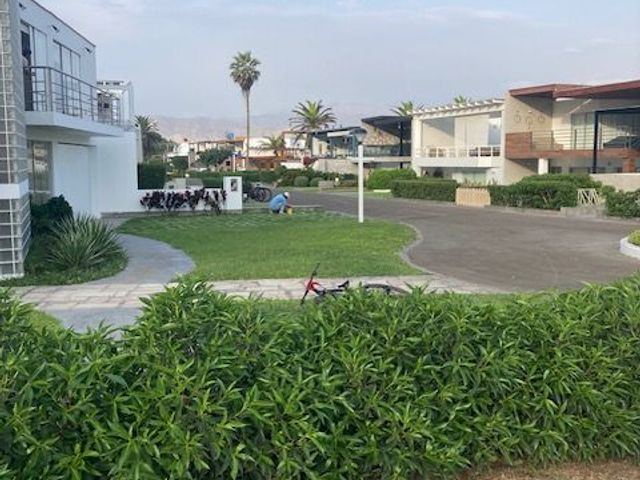 place photo 25