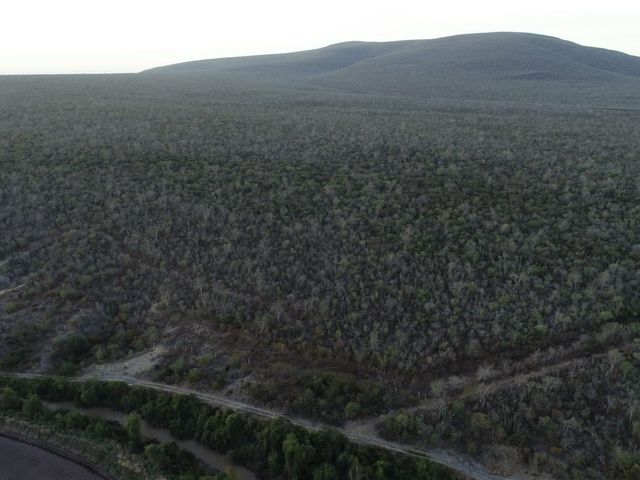 Terreno en venta en Angostura – 201 hectáreas con excelente ubicación
