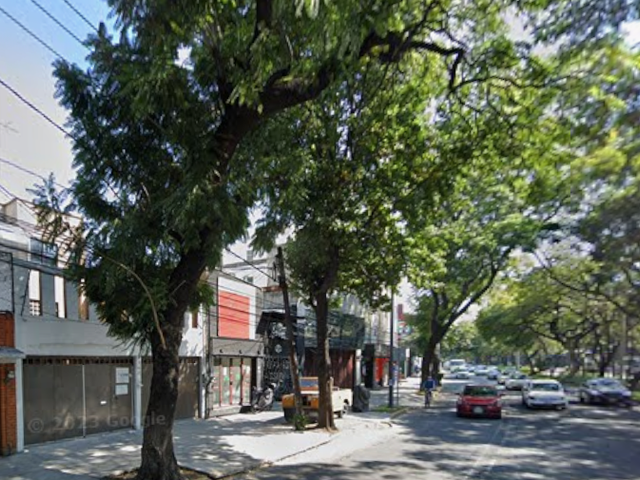 place photo 17