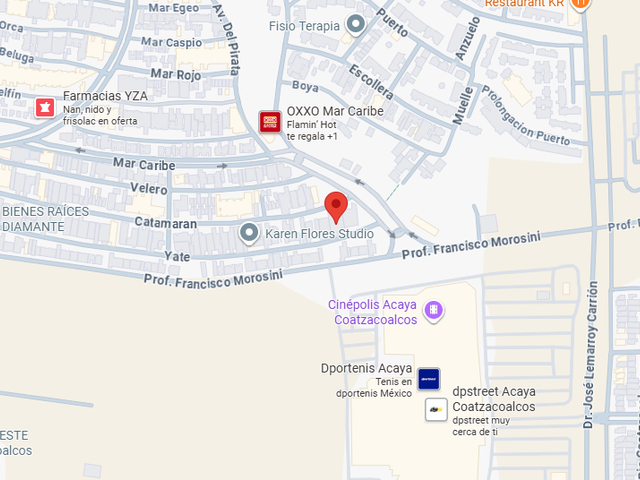 place photo 12