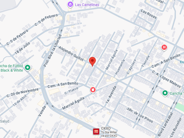 place photo 11