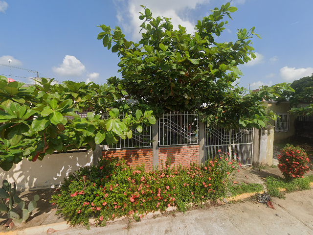 place photo 6