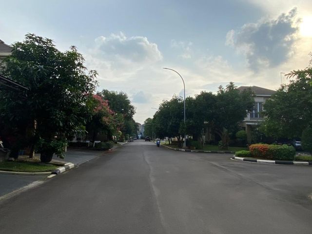 place photo 26