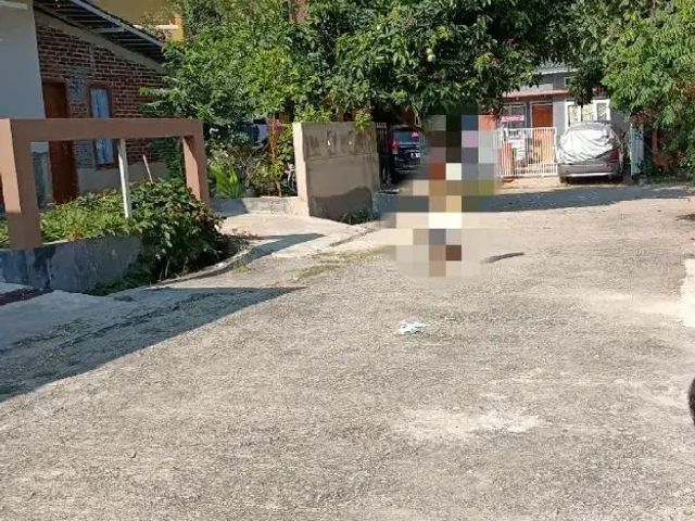 place photo 14