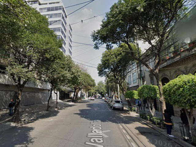 place photo 7
