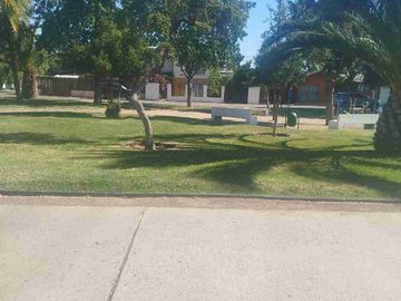 place photo 29