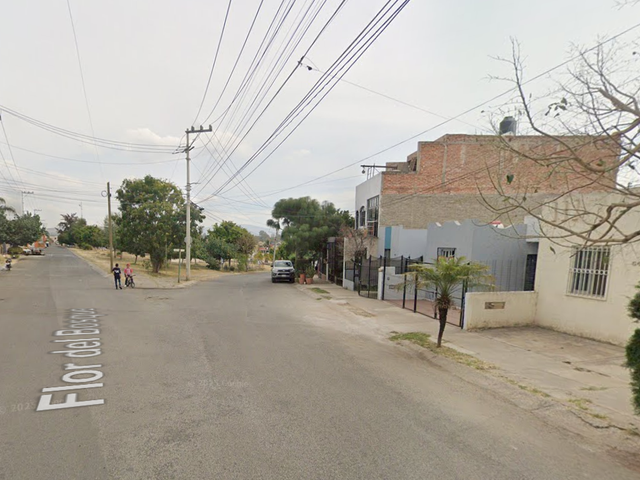 place photo 16
