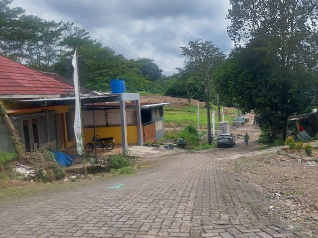 place photo 11