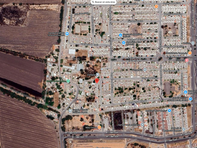 place photo 8