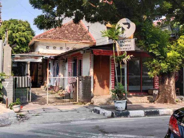 place photo 20