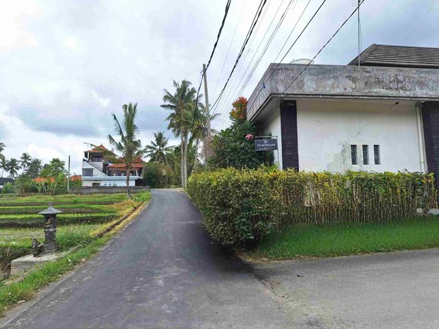 place photo 13