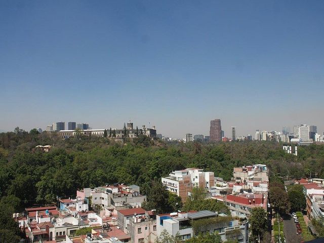 place photo 14