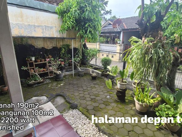 place photo 19