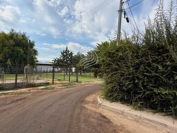 place photo 24