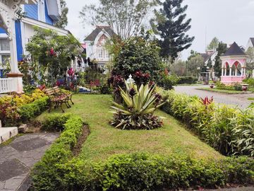 place photo 5