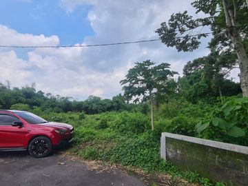 Jawa, PIDIE, Aceh, Indonesia