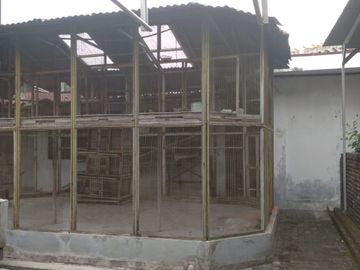 place photo 23