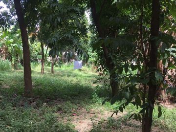 Zavalla | Residential Lot For Rent & Sale - #9677