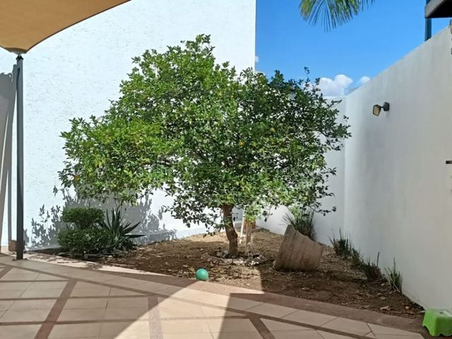 place photo 43