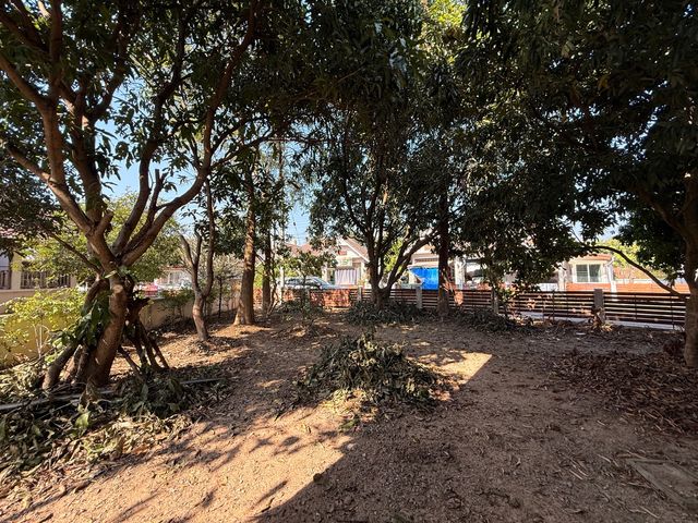 place photo 37