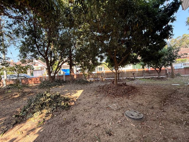 place photo 38