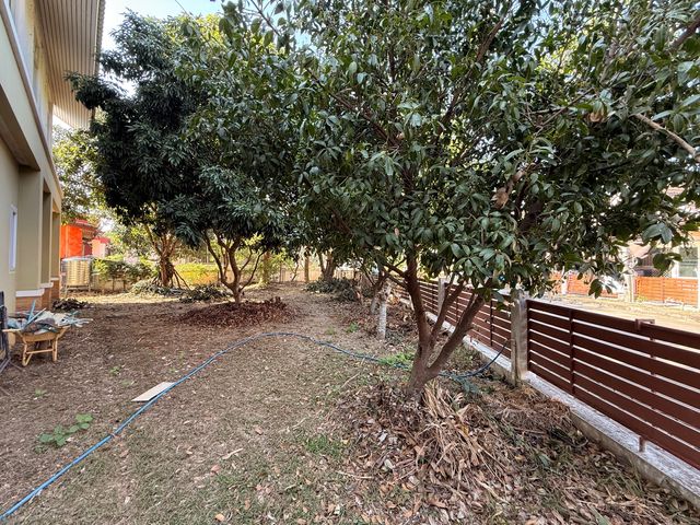 place photo 45