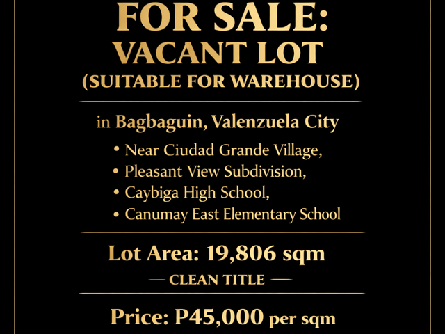 For Sale: Vacant Lot (Suitable for Warehouse) in Bagbaguin, Valenzuela City