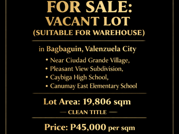 For Sale: Vacant Lot (Suitable for Warehouse) in Bagbaguin, Valenzuela City