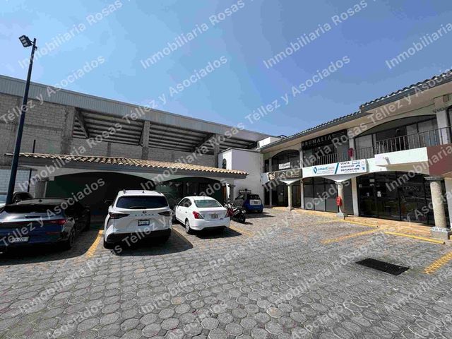 place photo 16