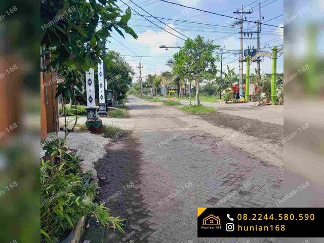 place photo 3