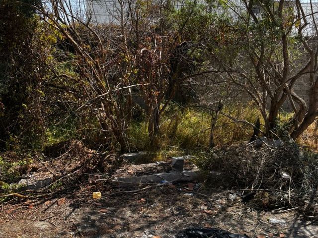 place photo 39