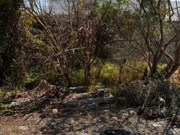 place photo 39