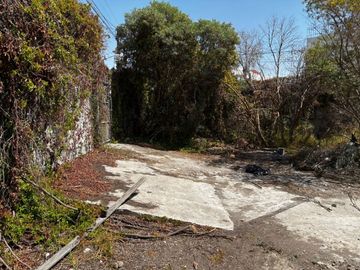 place photo 34