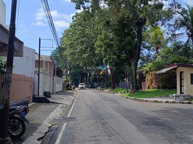 place photo 16