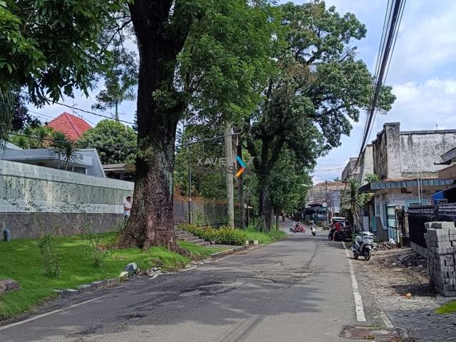 place photo 17