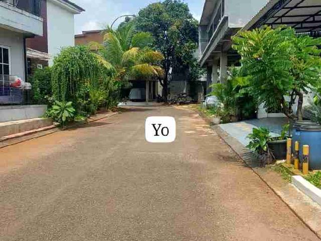place photo 12