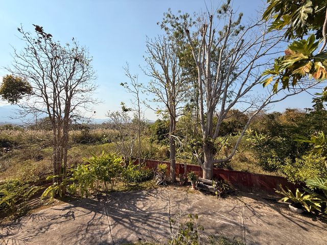 place photo 44