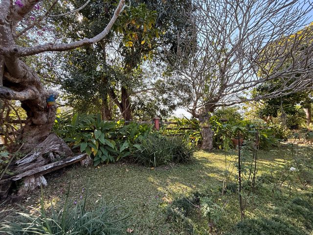 place photo 63