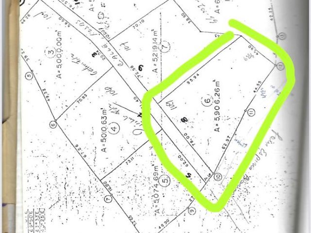 place photo 8