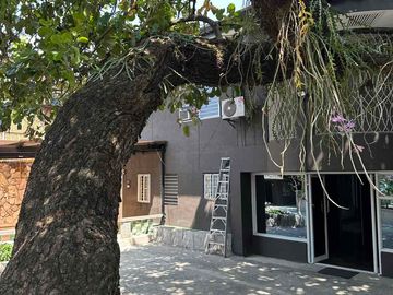 place photo 19