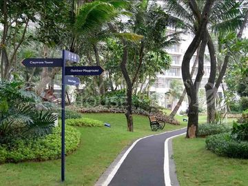 place photo 14