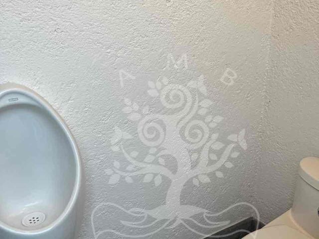 place photo 36