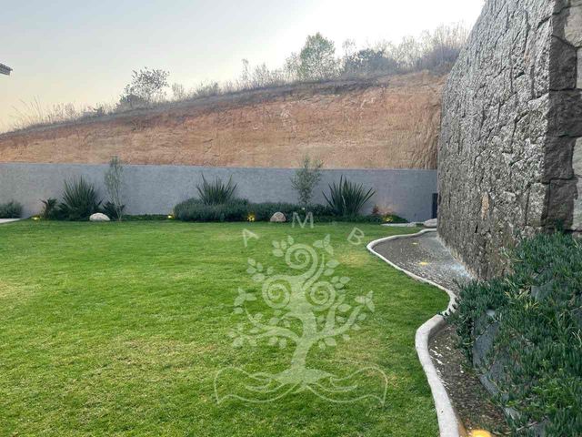place photo 37