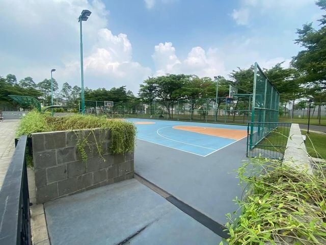 place photo 17