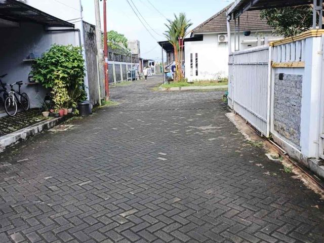 place photo 10