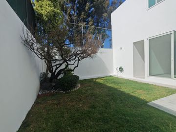 place photo 50