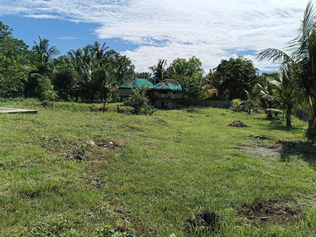 place photo 27