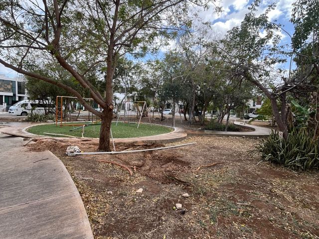 place photo 23